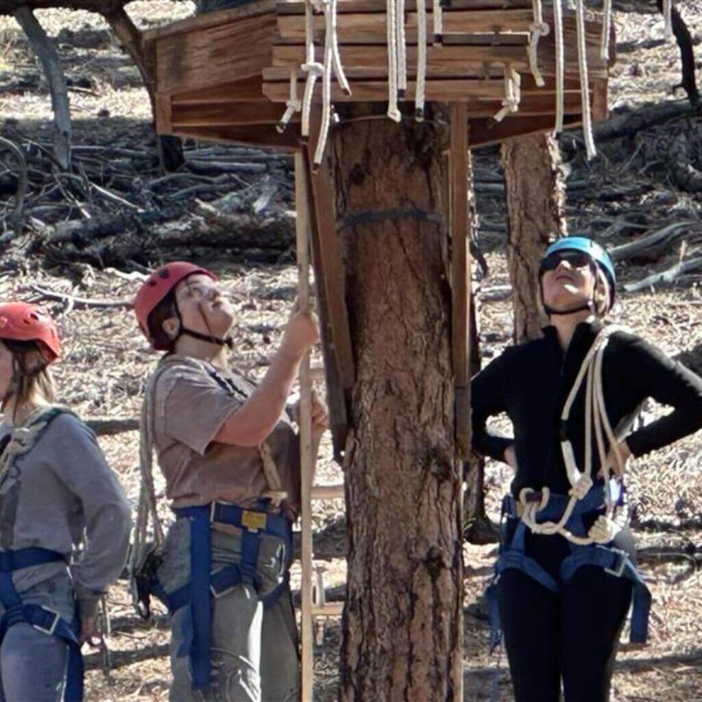 Several people wearing helmets and harnesses prepare for a ropes course activity in a forested area. One person is looking up at a wooden platform secured to a tree.

