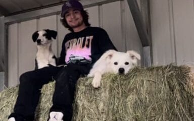 Person sitting on hay bales in a barn, wearing a Chevrolet shirt, accompanied by two dogs.